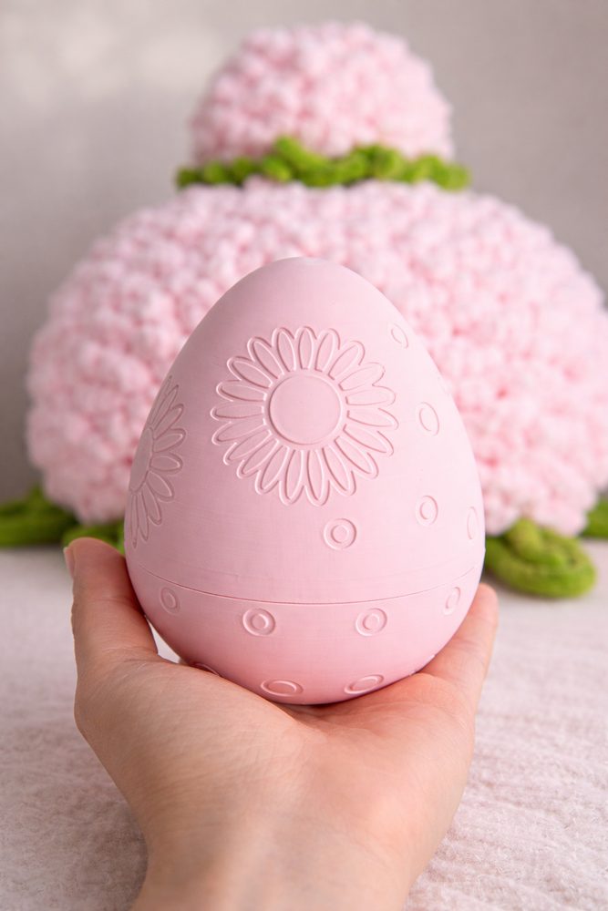 3D Printed Egg Case