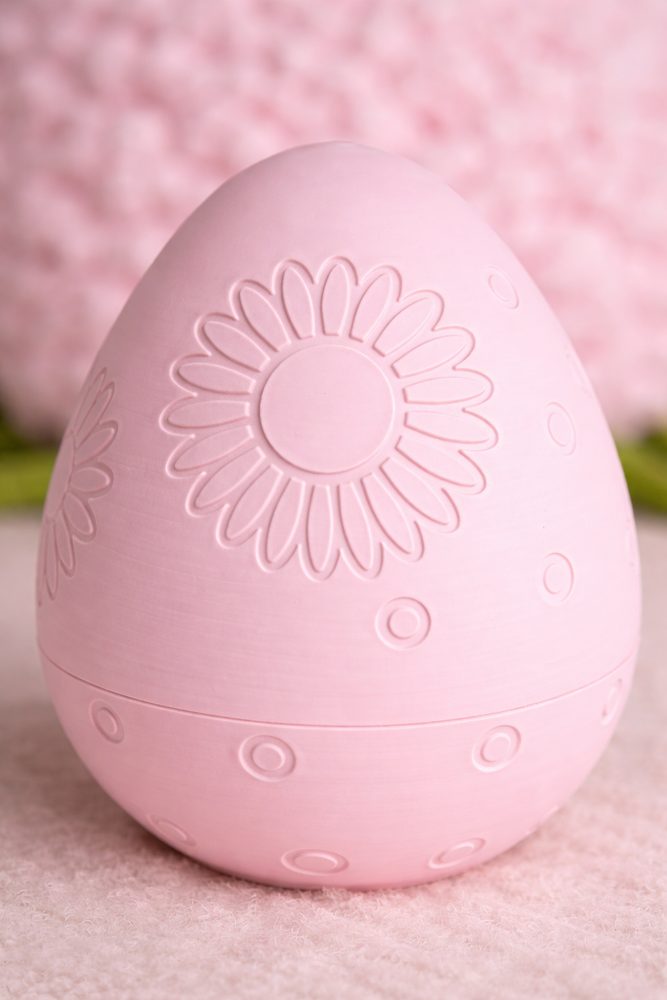 3D Printed Egg Case view 2