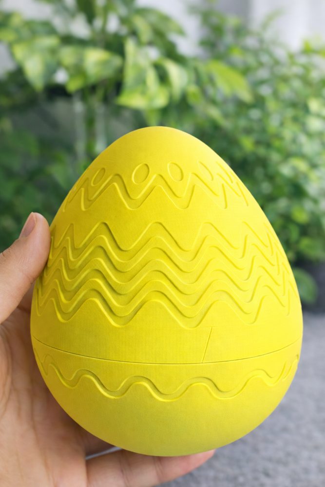 3D Printed Egg Case view 6